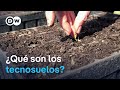 De cascajo a tierra fértil: suelos a medida