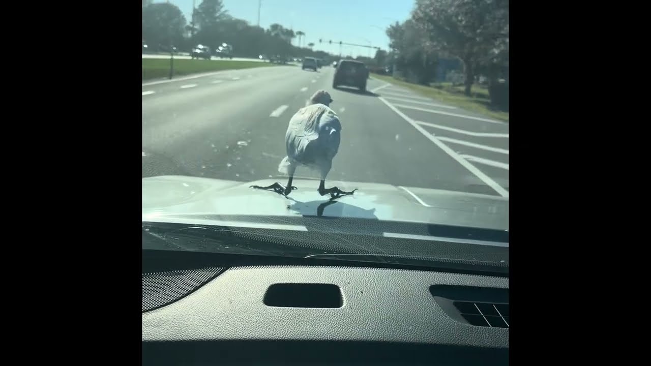 I think I was visited by an angel 😇 