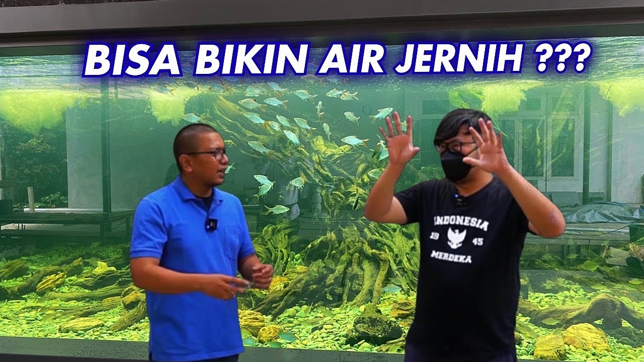 #60- MEGATANK 100TON - SETTING FILTER AJAIB