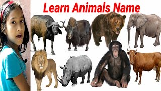 CUTE ANIMALS Video Tiger, Lion, Horse, Cat || Learn Animals Name || Animals Video || #Animals ||