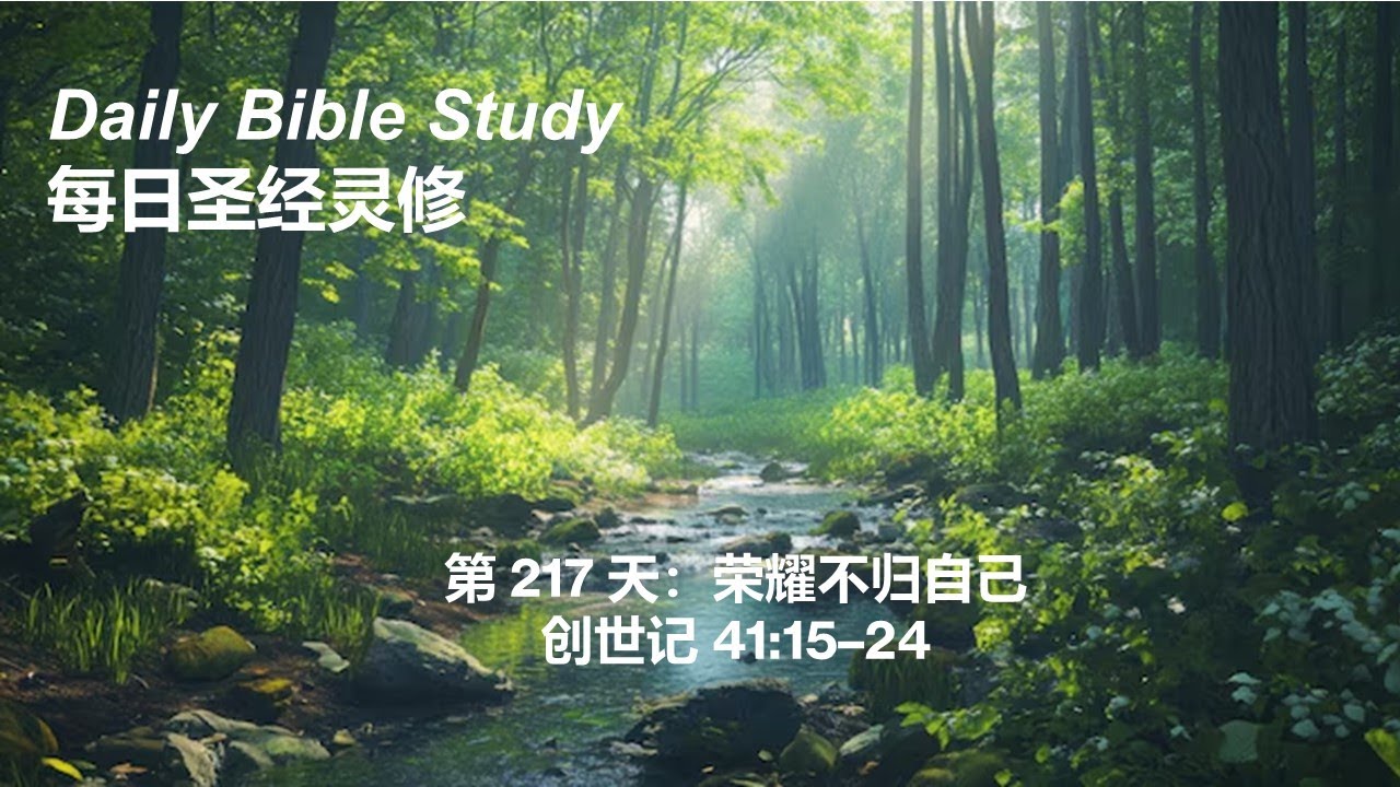 Daily Bible Study Day 217
