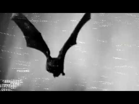 BLACK WATER PANIC Project "Seventh Bat" Official Video