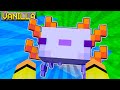 NON CI CREDO AL PRIMO COLPO AXOLOTL BLU  nella VANILLA - MINECRAFT 53