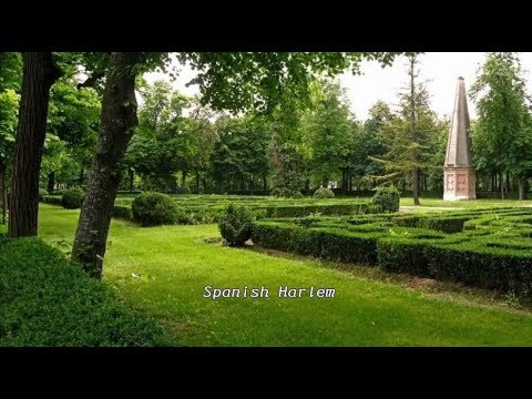 スパニッシュ ハーレム マニュエル ミュージック オヴ ザ マウンテン Youtube スパニッシュ ハーレム マニュエル ミュージック オヴ ザ マウンテン Youtube