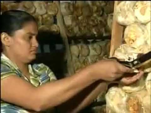 Bimmal Wagawa Sarthakawa Karamu Part 2 1 Youtube