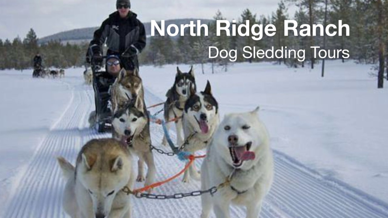 Huntsville | Chestnut Park Cottage Country