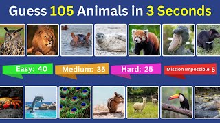 Guess 105 Animals in 3 Seconds: Easy to Impossible | Quiz for Kindergarten Preschool Toddlers 🐯🦉🐮