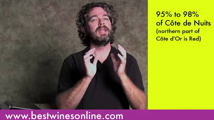 Wine-O-Pedia: Burgundy Part 1