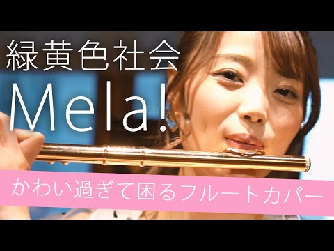 【リョクシャカ】 Mela! 可愛すぎるフルートカバー！by 高橋紫微【目が合うとキュン死】