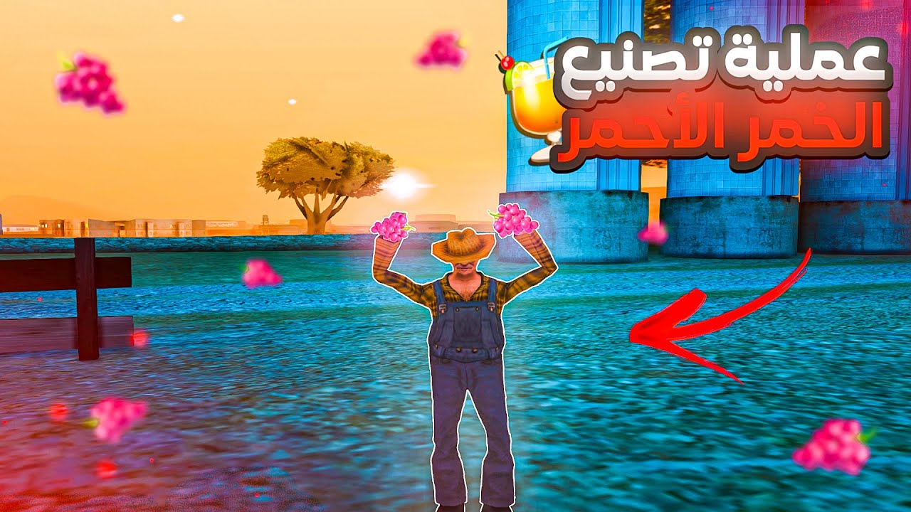 يوم في حياة مزارع عنب الأحمر ULG : تحديات ومتعة 🍇 | MTA