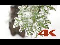 Мариуполь покрылся льдом (ВИДЕО 4К)