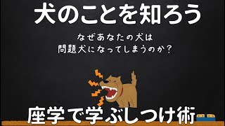 犬のしつけ 無駄吠えやトイレを改善！非体罰のしつけ術 ～座学編～（1.5倍速くらいで聞いていただいても大丈夫です^^）