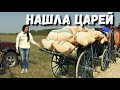 СЕРЕБРО ВЫВОЗИЛИ ОБОЗАМИ В ЭТОЙ ДЕРЕВНЕ - РАССКАЗАЛА БАБУШКА. Находки с металлоискателем на поле