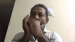Hum Bewafa Hargiz Na They In Harmonica By Dipankar Ganguli