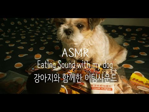 [ASMR] 강아지와 함께한 이팅사운드 | Eating Sound with my dog