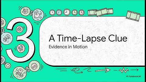 OSE Lesson 9 Overview  The Case of the Disappearing Cut