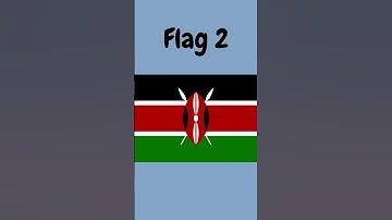 What the Flag?? Part 2 #shorts