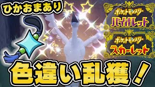 【ポケモンSV】ひかるおまもり効果絶大！大量発生リセマラがどれくらい楽になるか試してみた！！