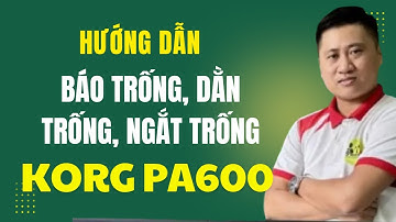 #korg_pa600 Hướng Dẫn Cách Chỉnh: Báo Trống, Dằn Trống, Ngắt Trống, Lấy Nhịp siêu đơn giản