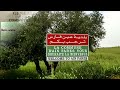 GENEALOGIE TRIBUS MERINIDES PART 6 :  MERINE MERINIDES AIN FARES WILAYA DE MASCARA ALGÉRIE