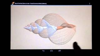 3D SeaShell Demo - Free Android App screenshot 1