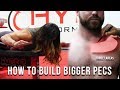 Big Pecs Big Checks | How To Build Bigger Pecs