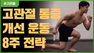 고관절통증 골반통증 8주면 해결! 이유와 해결방안!