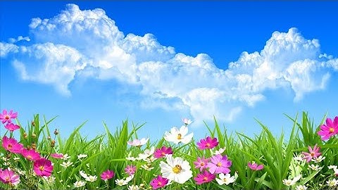 سورة غافر مكتوبة من(٢٦ إلى ٣٣) بصوت أيمن السويد 🌼🍃🌼