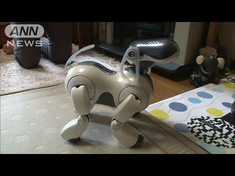 永遠の命のはずが・・・“ロボット犬の病院”閉鎖(14/8/16) - YouTube