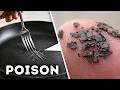 Teflon Cover-Up and Other Conspiracy Theories That Were True