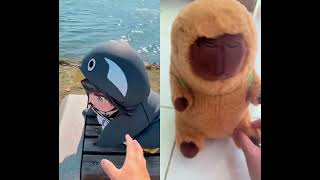 Gugugaga vs Capybara #memes #fypシ゚viral