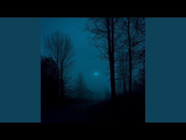 distorted reality (slowed & reverb)