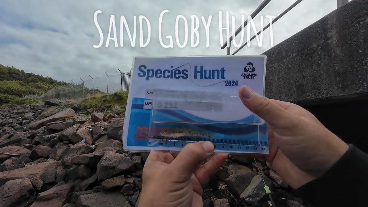 Light Rock Fishing (LRF) on the River Clyde, Scotland