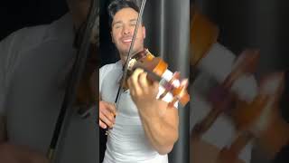 Solteiro Forçado #boiadeira #violin