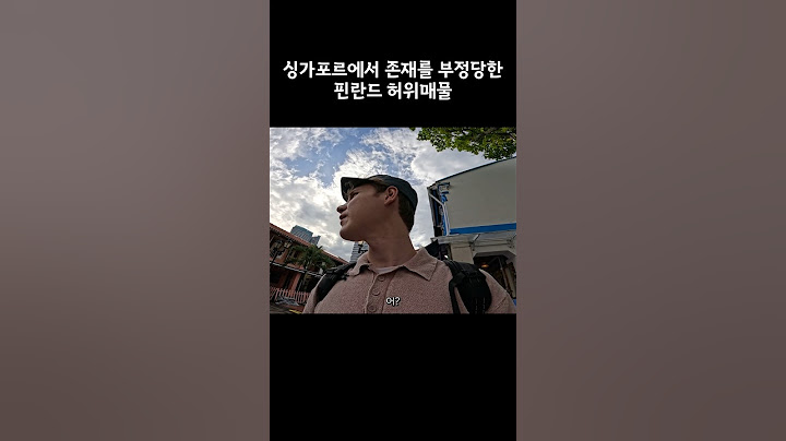 미국 허위매물 vs. 핀란드 허위매물 #레오티비