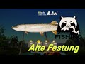 Russia Fishing 4 #02 Alte Festung Aal & Hecht Spot + Beifang