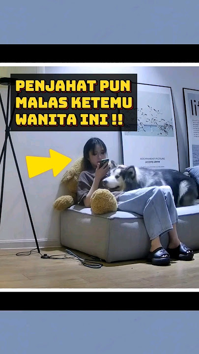 Perlindungan anjing mengalahkan pacar !!