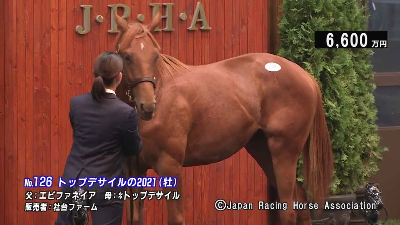 JRA競走に勝ったセール出身馬紹介(2024/5/25-26､ダノンデサイル