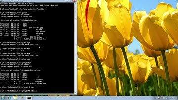 Disk Operating System Msdos Odia Class Clear Screen Using DOS Command