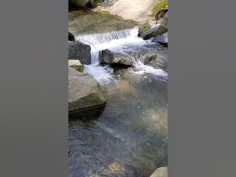 Waterfall | Ручей с водопадом #nature #природа #river #water #вода # ...