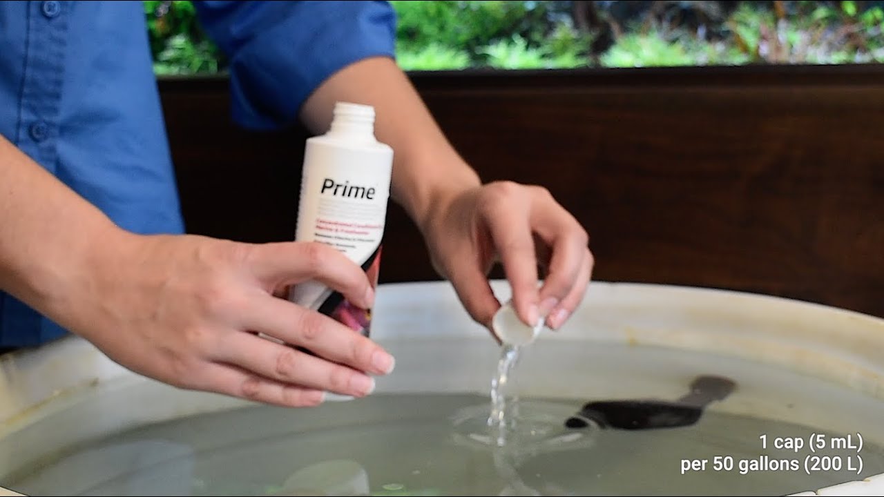 Seachem Prime® - The Most Concentrated Water Conditioner On The Market!