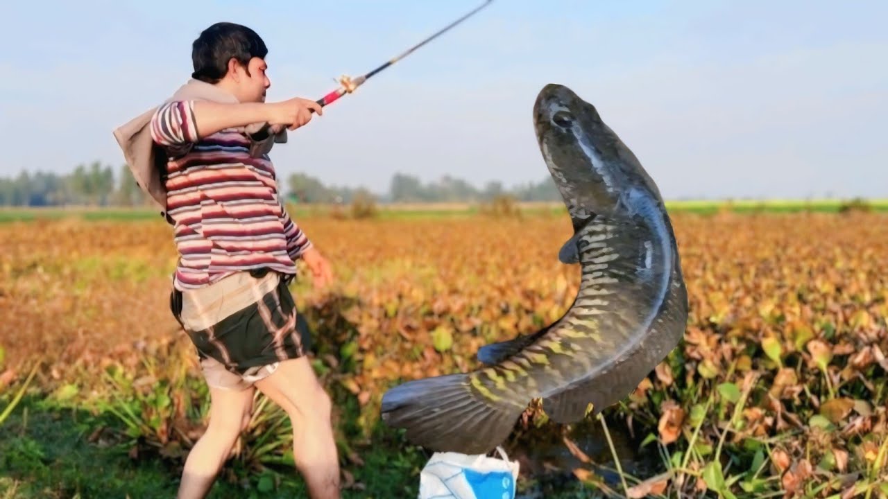 greatest fisherman of all time 🐬🐬  The young man's technique is fishing with a spear.