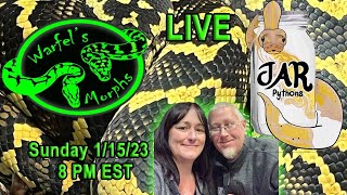 S2-Ep.3: Live W/ JAR Pythons Talking Ball Pythons & Ball Python Breeding