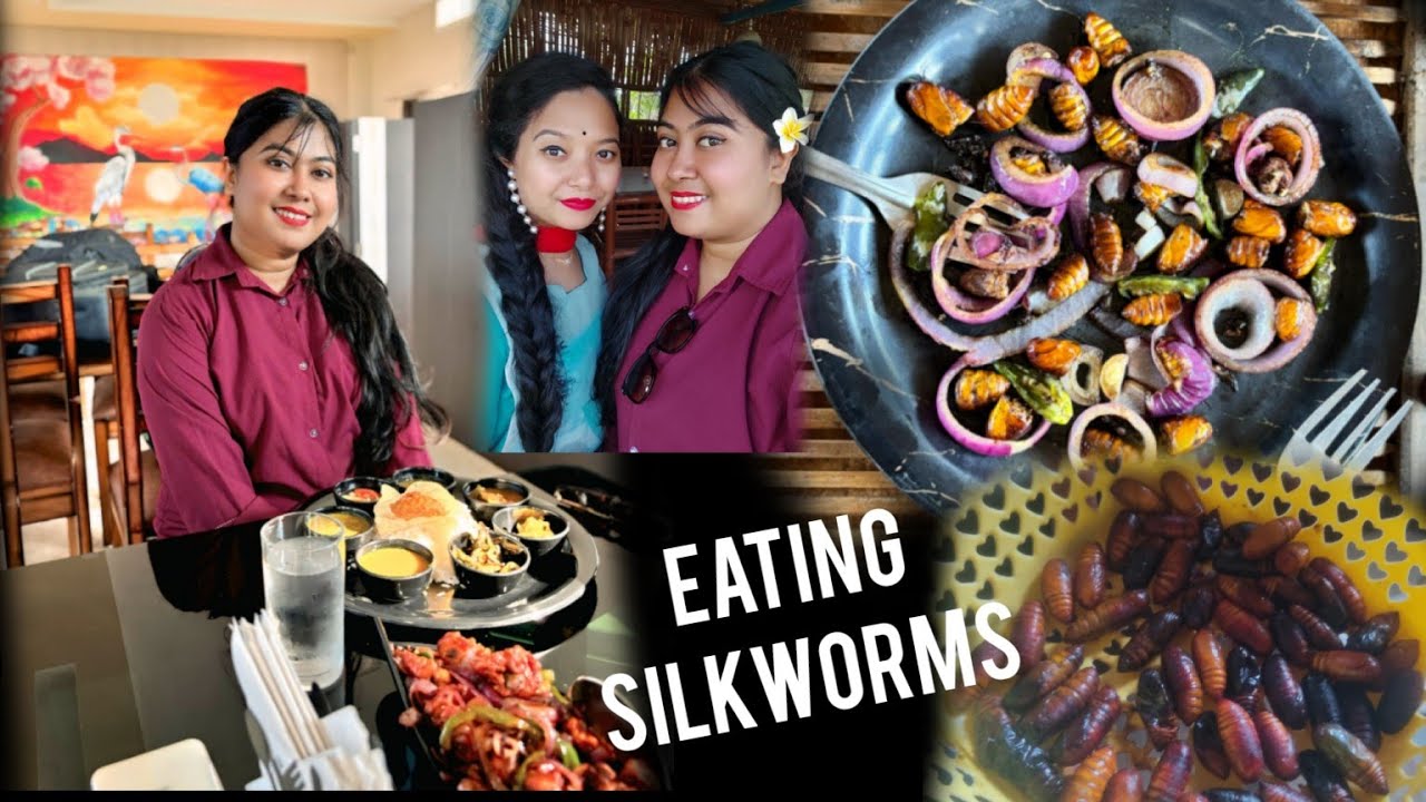 Silkworm Eating || Muga Leta Eating | Khowang Kitchen | Sangita Resorts ...