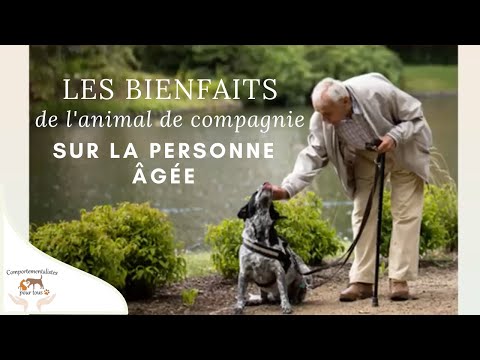 Vidéo: Animaux de compagnie pour les personnes âgées: comment le faire de la bonne façon