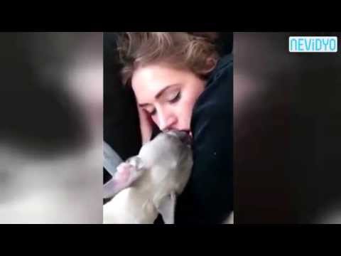 Romantic dog kiss owner to wake up (Uyuyan kızı öperek uyandıramayan köpek.)