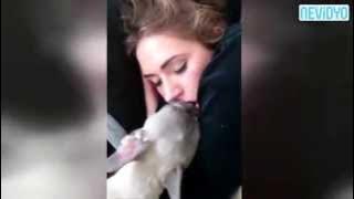 Romantic dog kiss owner to wake up (Uyuyan kızı öperek uyandıramayan köpek.)