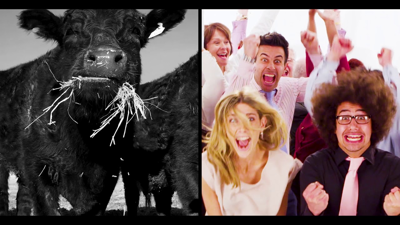 비트핏 거래소 FIT 토큰, 두 번 다시없을 무료 에어드랍! : 네이버 블로그