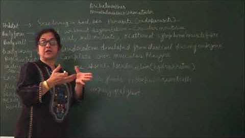 Bio-XI-4-07 BY Sunanda Ahuja Pradeep Kshetrapal channel