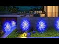 Video Image